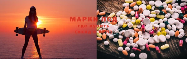 прущие грибы Богданович
