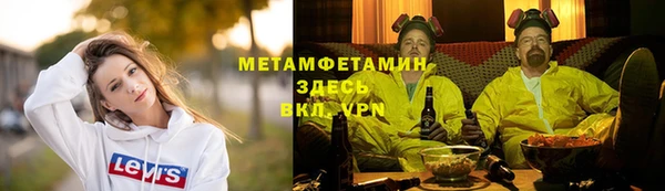 прущие грибы Богданович