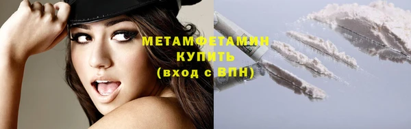 прущие грибы Богданович