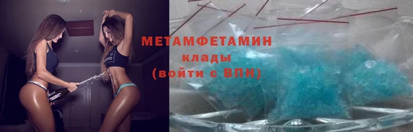 прущие грибы Богданович