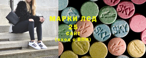прущие грибы Богданович