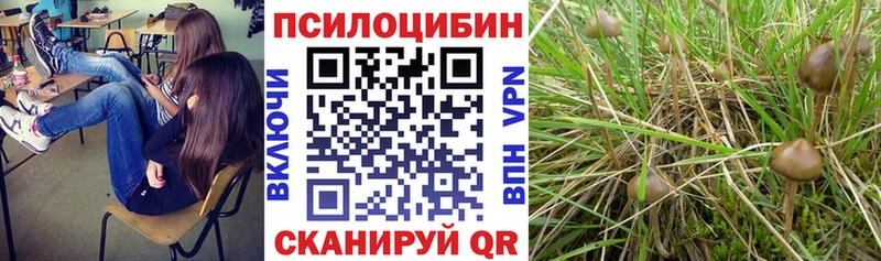 Псилоцибиновые грибы прущие грибы  Добрянка 
